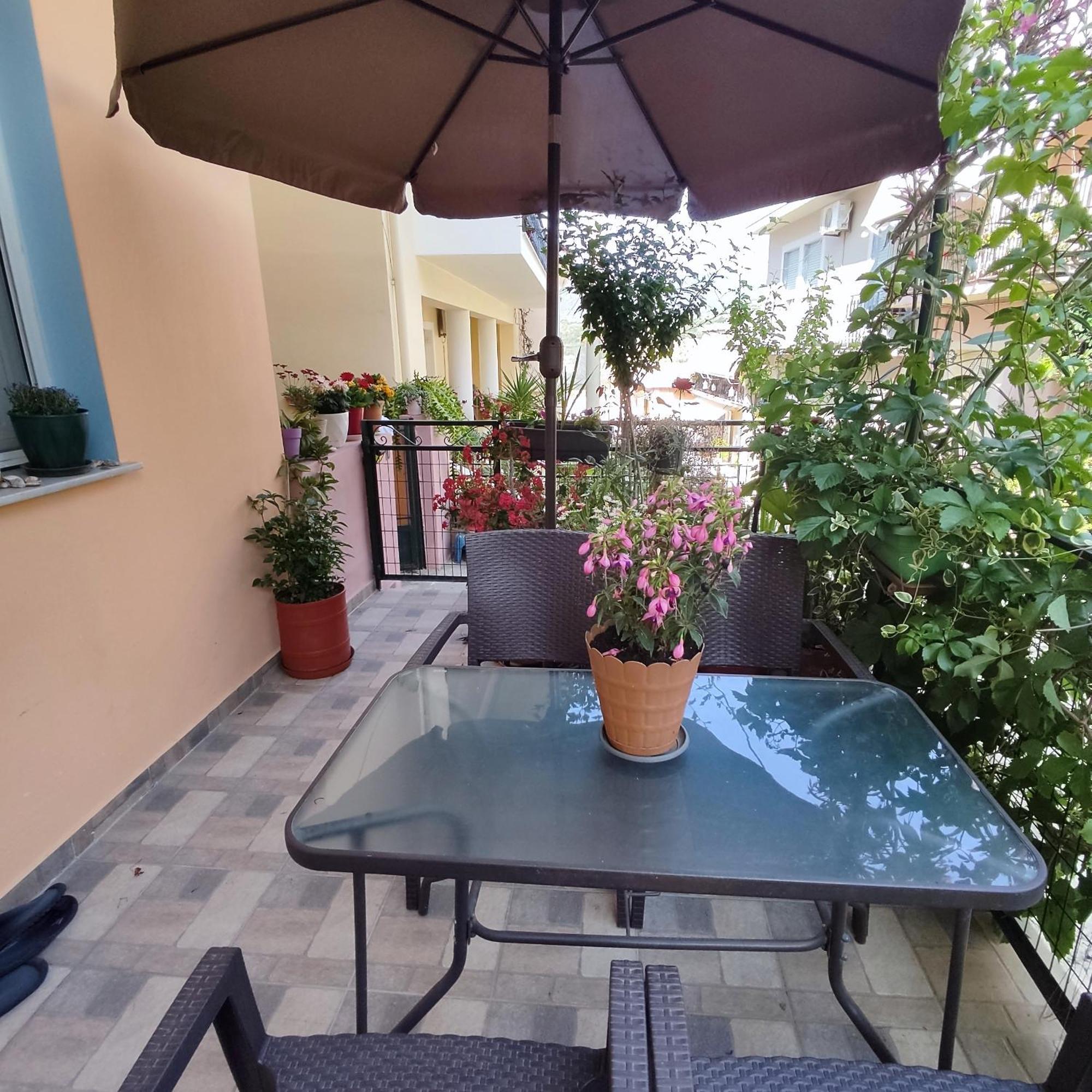 Napier Apartmán